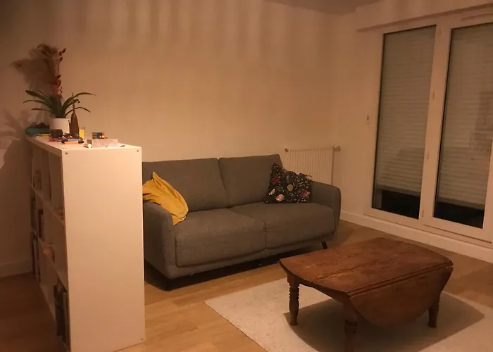 A L Oree Du Moriscot, Chouette T3, Ideale Famille ,4 A 6 Personnes, Tres Bien Desservie *