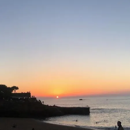 Apartment A L Oree Du Moriscot, Chouette T3, Ideale Famille ,4 A 6 Personnes, Tres Bien Desservie *