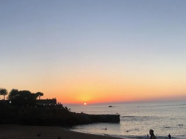 Apartment A L Oree Du Moriscot, Chouette T3, Ideale Famille ,4 A 6 Personnes, Tres Bien Desservie *